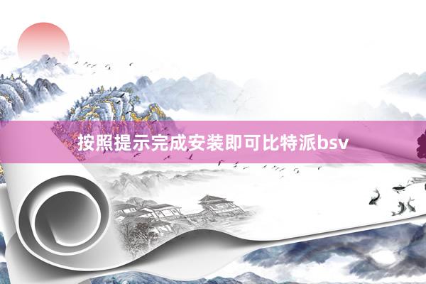 按照提示完成安装即可比特派bsv