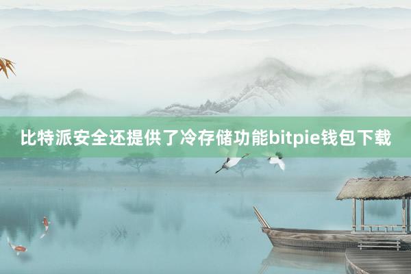 比特派安全还提供了冷存储功能bitpie钱包下载