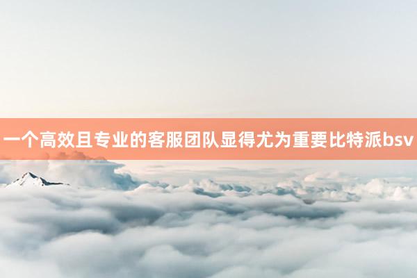 一个高效且专业的客服团队显得尤为重要比特派bsv