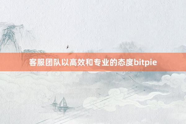 客服团队以高效和专业的态度bitpie