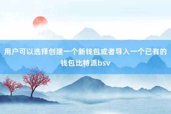 用户可以选择创建一个新钱包或者导入一个已有的钱包比特派bsv