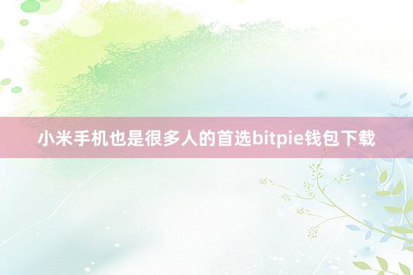 小米手机也是很多人的首选bitpie钱包下载