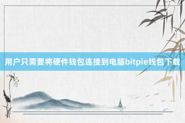 用户只需要将硬件钱包连接到电脑bitpie钱包下载