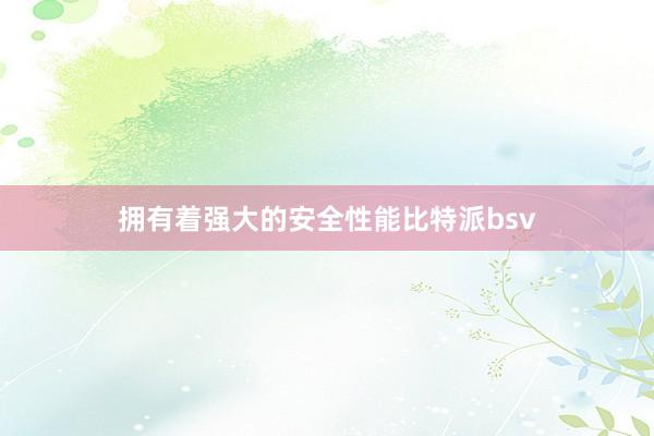 拥有着强大的安全性能比特派bsv