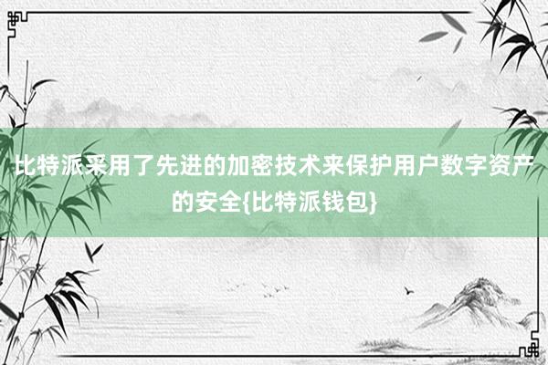 比特派采用了先进的加密技术来保护用户数字资产的安全{比特派钱包}