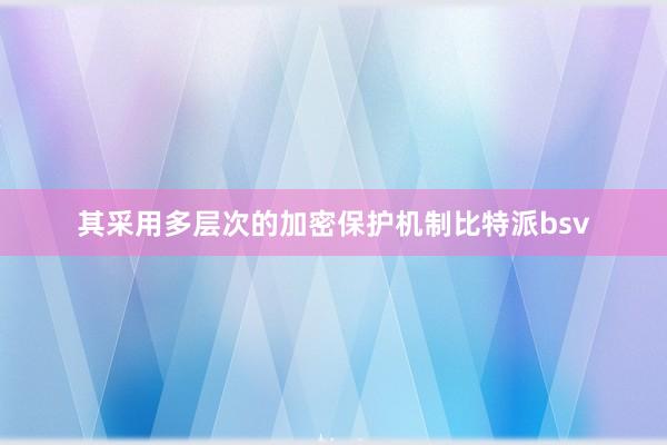 其采用多层次的加密保护机制比特派bsv