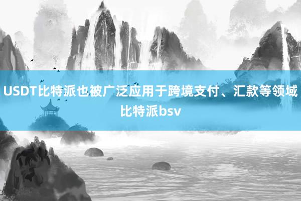 USDT比特派也被广泛应用于跨境支付、汇款等领域比特派bsv