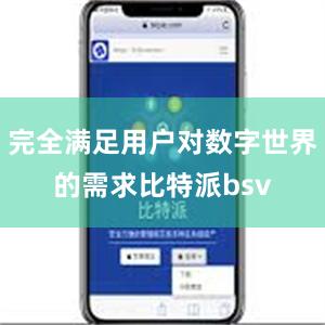 完全满足用户对数字世界的需求比特派bsv