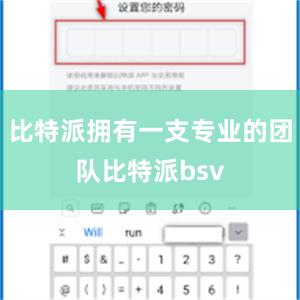 比特派拥有一支专业的团队比特派bsv