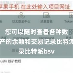 您可以随时查看各种数字资产的余额和交易记录比特派bsv