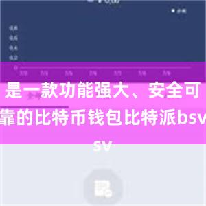 是一款功能强大、安全可靠的比特币钱包比特派bsv