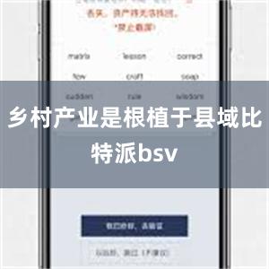 乡村产业是根植于县域比特派bsv