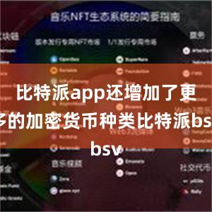 比特派app还增加了更多的加密货币种类比特派bsv