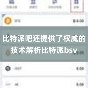 比特派吧还提供了权威的技术解析比特派bsv