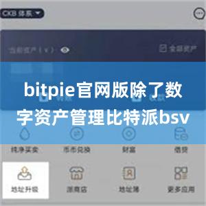 bitpie官网版除了数字资产管理比特派bsv