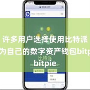 许多用户选择使用比特派作为自己的数字资产钱包bitpie