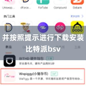 并按照提示进行下载安装比特派bsv