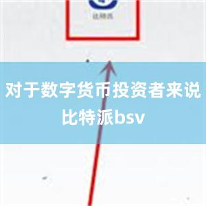 对于数字货币投资者来说比特派bsv