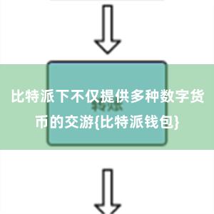 比特派下不仅提供多种数字货币的交游{比特派钱包}