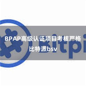 BPAP高级认证项目考核严格比特派bsv